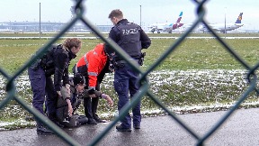 Aktivisti da plate štetu